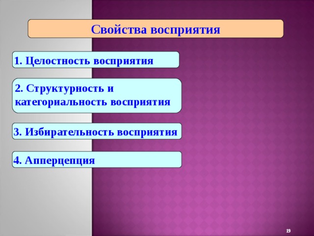 Свойства восприятия 1. Целостность восприятия 2. Структурность и категориальность восприятия 3. Избирательность восприятия 4. Апперцепция  