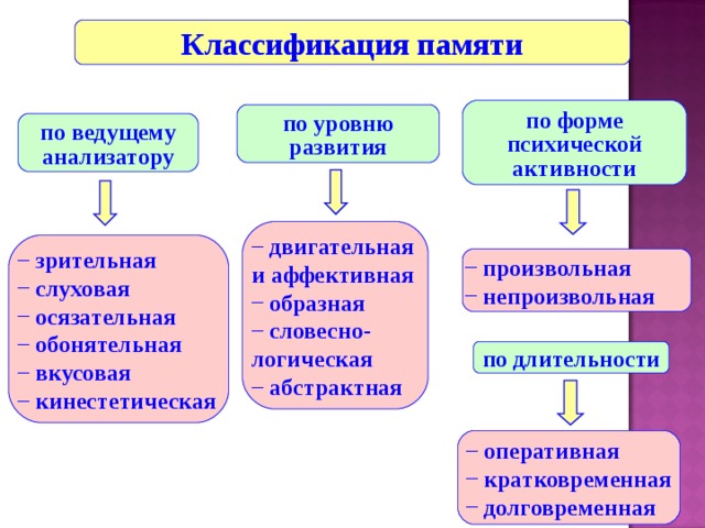 Классификация памяти по форме психической активности по уровню развития по ведущему анализатору  двигательная и аффективная  образная  словесно-логическая  абстрактная  зрительная  слуховая  осязательная  обонятельная  вкусовая  кинестетическая  произвольная  непроизвольная по длительности  оперативная  кратковременная  долговременная 22 