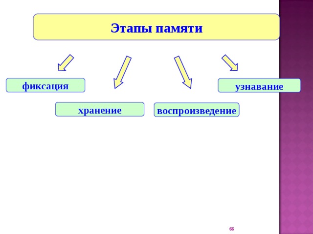 Этапы памяти фиксация узнавание хранение воспроизведение 22 