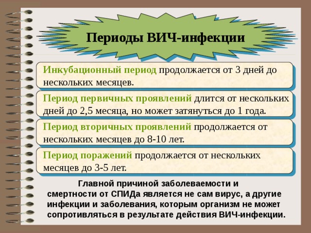 Периоды ВИЧ-инфекции Инкубационный период Период первичных проявлений  Период вторичных проявлений Период поражений  Главной причиной заболеваемости и смертности от СПИДа является не сам вирус, а другие инфекции и заболевания, которым организм не может сопротивляться в результате действия ВИЧ-инфекции. 