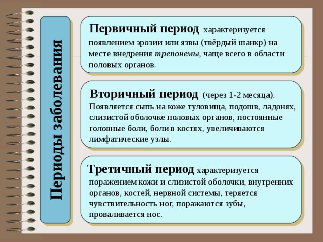 Периоды заболевания  Первичный период характеризуется  появлением эрозии или язвы (твёрдый  шанкр) на  месте внедрения трепонемы , чаще всего в области  половых органов. Вторичный период (через 1-2 месяца).  Появляется сыпь на коже туловища, подошв, ладонях,  слизистой оболочке половых органов, постоянные  головные боли, боли в костях, увеличиваются  лимфатические узлы. Третичный период характеризуется  поражением кожи и слизистой оболочки, внутренних  органов, костей, нервной системы, теряется  чувствительность ног, поражаются зубы,  проваливается нос. 