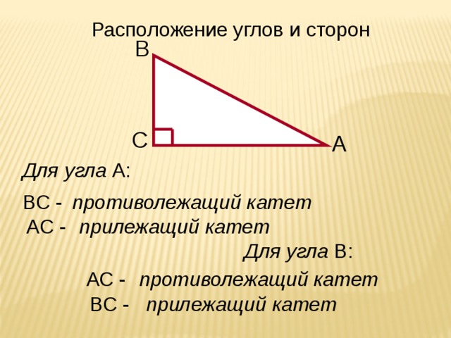 Расположение углов и сторон B C A Для угла А: противолежащий катет ВС - АС - прилежащий катет Для угла В: противолежащий катет АС - ВС - прилежащий катет 