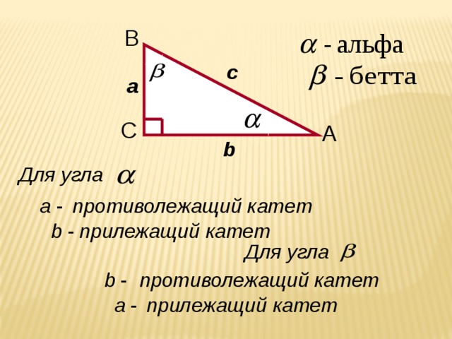 B с а C A b Для угла противолежащий катет a - b -  прилежащий катет Для угла b - противолежащий катет a - прилежащий катет 