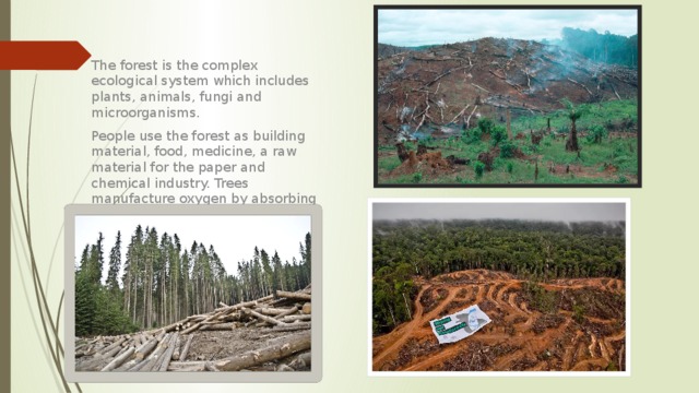 The forest is the complex ecological system which includes plants, animals, fungi and microorganisms. People use the forest as building material, food, medicine, a raw material for the paper and chemical industry. Trees manufacture oxygen by absorbing carbon dioxide. The forest is the place where a lot of animals inhabit. Moreover, Forest areas protect soil from erosion. 
