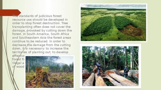 The standards of judicious forest resource use should be developed in order to stop forest destruction. Tree transplanting often does not cover the damage, provoked by cutting down the forest. In South America, South Africa and Southeastern Asia the forest areas continue to be reduced. In order to decrease the damage from the cutting down, it is necessary: to increase the territories of planting out; to develop effective measures in order to prevent forest fires; to guard forests from the Illegal activity; to develop the methods of wood reworking. 