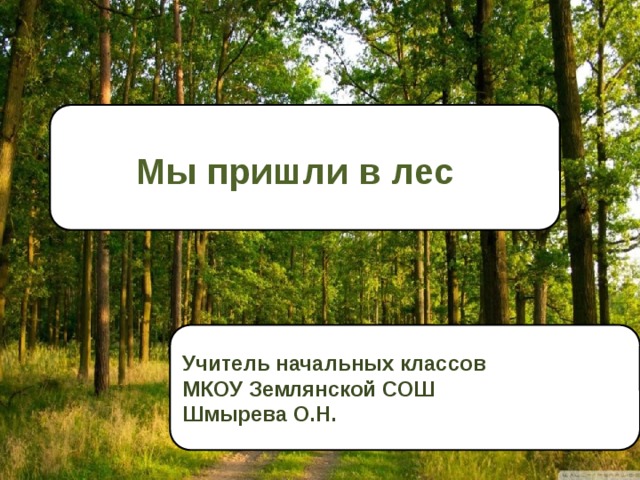 Мы пришли в лес Учитель начальных классов МКОУ Землянской СОШ Шмырева О.Н. 