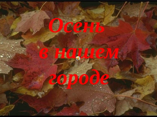 Осень в нашем городе   