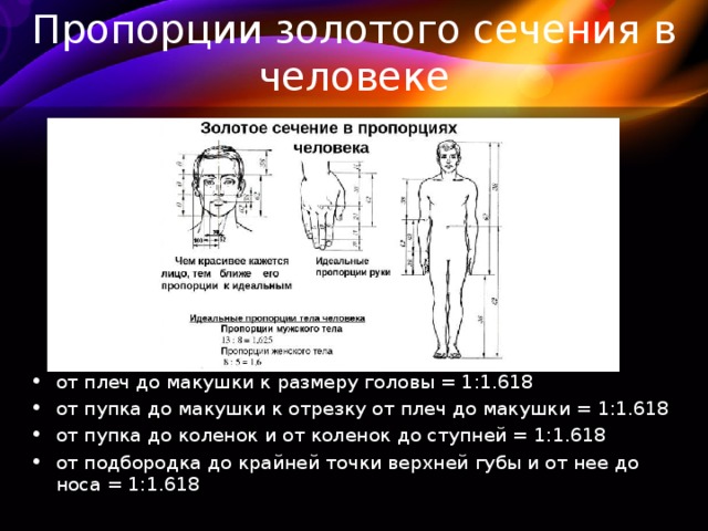 Пропорции золотого сечения в человеке от плеч до макушки к размеру головы = 1:1.618 от пупка до макушки к отрезку от плеч до макушки = 1:1.618 от пупка до коленок и от коленок до ступней = 1:1.618 от подбородка до крайней точки верхней губы и от нее до носа = 1:1.618  