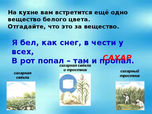 На кухне вам встретится ещё одно вещество белого цвета. Отгадайте, что это за вещество. Я бел, как снег, в чести у всех, В рот попал – там и пропал. САХАР  сахарная свёкла  и тростник  сахарныйтростник   сахарная свёкла  