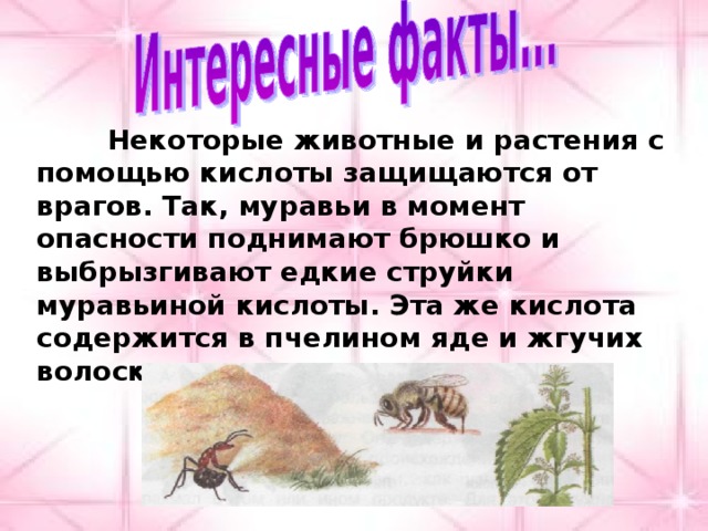  Некоторые животные и растения с помощью кислоты защищаются от врагов. Так, муравьи в момент опасности поднимают брюшко и выбрызгивают едкие струйки муравьиной кислоты. Эта же кислота содержится в пчелином яде и жгучих волосках крапивы. 
