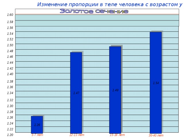 Изменение пропорции в теле человека с возрастом у мужчин: 1.60 1.58 1.56 1.54 1.54 1.52 1.50 1.49 1.49 1.48 1.47 1.46 1.44 1.42 1.40 1.38 1.36 1.34 1.32 1.30 1.28 1.26 1.26 1.24 1.22 5-7 лет 15-16 лет 1.20 12-13 лет 30-40 лет 