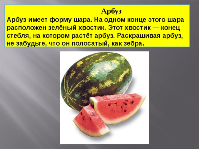  Арбуз Арбуз имеет форму шара. На одном конце этого шара расположен зелёный хвостик. Этот хвостик — конец стебля, на котором растёт арбуз. Раскрашивая арбуз, не забудьте, что он полосатый, как зебра. 