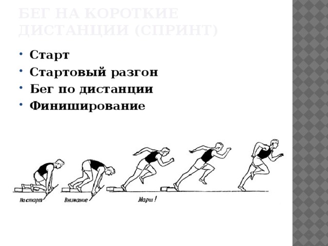 Бег на короткие дистанции (спринт) Старт Стартовый разгон Бег по дистанции Финиширование  