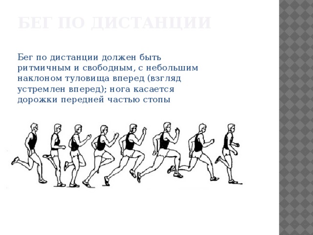 БЕГ ПО ДИСТАНЦИИ Бег по дистанции должен быть ритмичным и свободным, с небольшим наклоном туловища вперед (взгляд устремлен вперед); нога касается дорожки передней частью стопы 