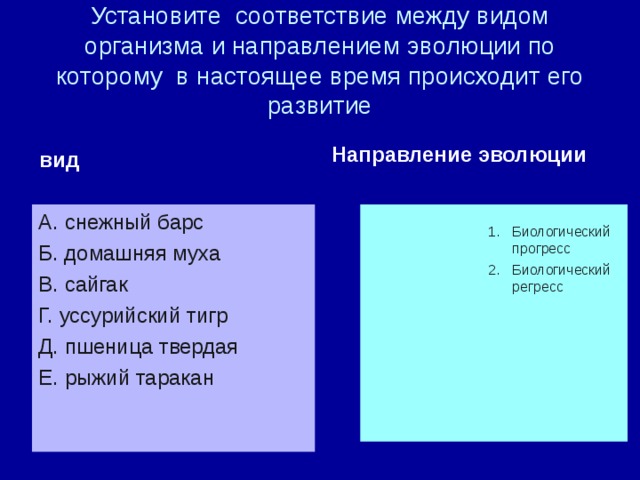 Установите соответствие между видом организма и направлением эволюции по которому в настоящее время происходит его развитие вид Направление эволюции А. снежный барс Б. домашняя муха В. сайгак Г. уссурийский тигр Д. пшеница твердая Е. рыжий таракан