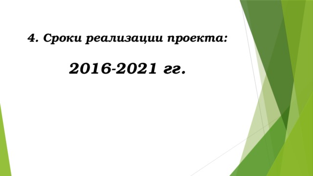4. Сроки реализации проекта:  2016-2021 гг. 