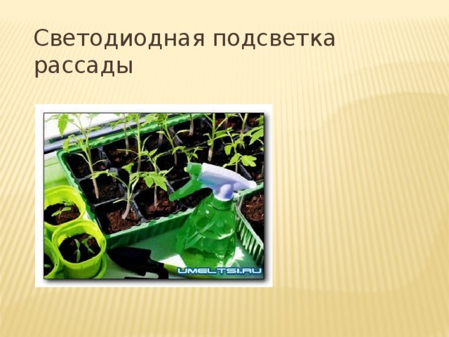 Светодиодная подсветка рассады 