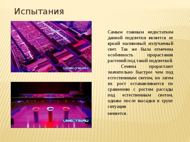 Испытания Самым главным недостатком данной подсветки является ее яркий малиновый излучаемый свет. Так же была отмечена особенность прорастания растений под такой подсветкой. Семена прорастают значительно быстрее чем под естественным светом, но затем их рост останавливается по сравнению с ростом рассады под естественным светом, однако после высадки в грунт ситуация меняется.   