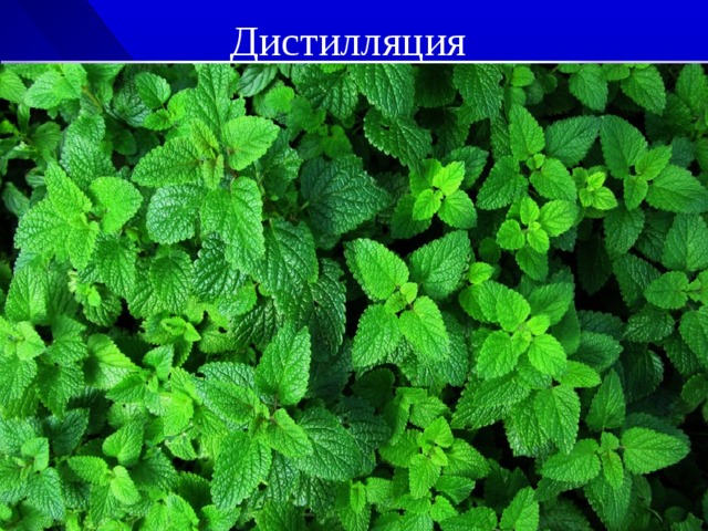 Дистилляция  (перегонка с водяным паром) 
