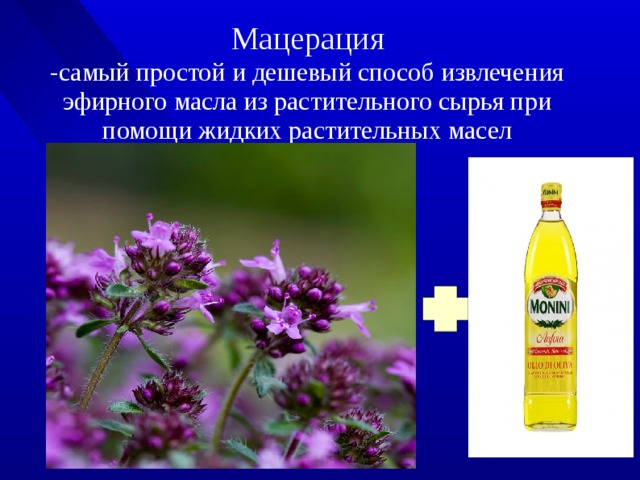 Мацерация  -самый простой и дешевый способ извлечения эфирного масла из растительного сырья при помощи жидких растительных масел 