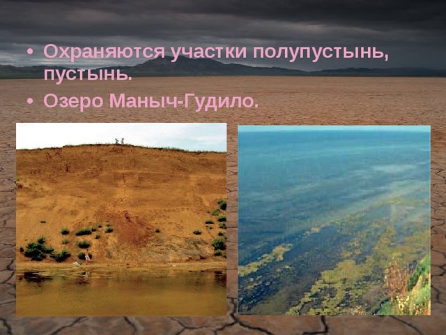 Охраняются участки полупустынь, пустынь. Озеро Маныч-Гудило. 