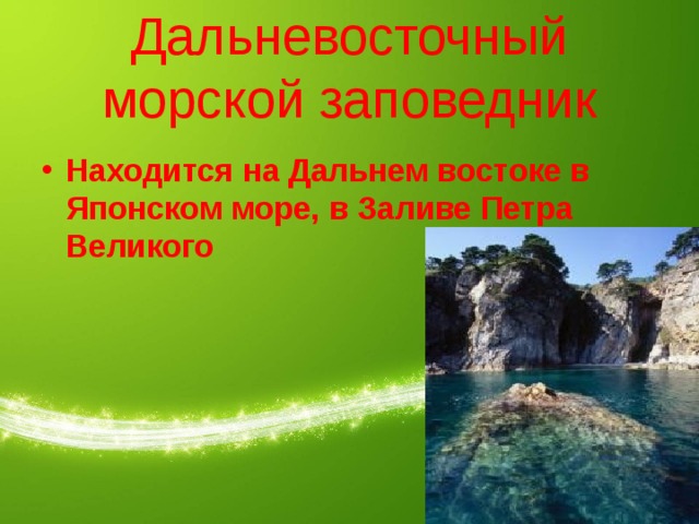Дальневосточный морской заповедник Находится на Дальнем востоке в Японском море, в Заливе Петра Великого 