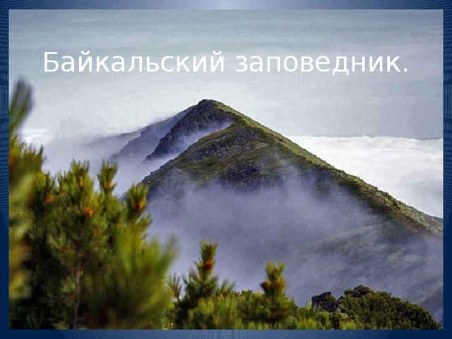 Байкальский заповедник. 