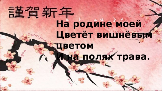 На родине моей Цветёт вишнёвым цветом И на полях трава. 
