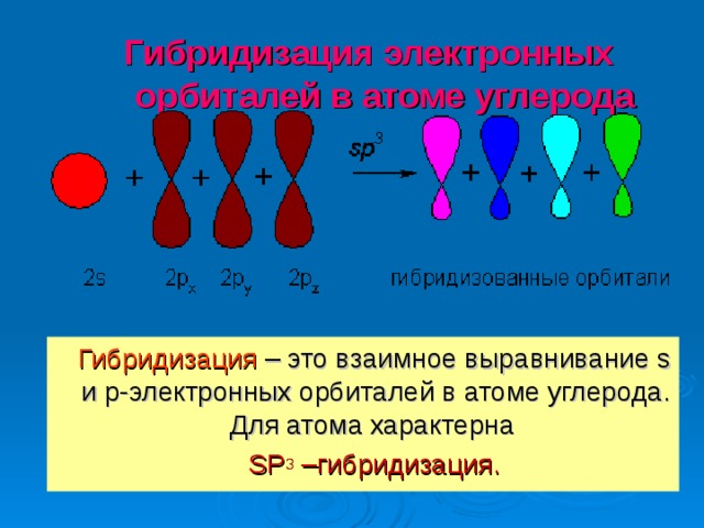  Гибридизация электронных орбиталей в атоме углерода    Гибридизация  – это взаимное выравнивание s и р-электронных орбиталей в атоме углерода. Для атома характерна  SP 3 –гибридизация. 