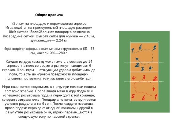Общие правила «Зоны» на площадке и перемещение игроков Игра ведётся на прямоугольной площадке размером 18х9 метров. Волейбольная площадка разделена посередине сеткой. Высота сетки для мужчин — 2,43 м, для женщин — 2,24 м. Игра ведётся сферическим мячом окружностью 65—67 см, массой 260—280 г. Каждая из двух команд может иметь в составе до 14 игроков, на поле во время игры могут находиться 6 игроков. Цель игры — атакующим ударом добить мяч до пола, то есть до игровой поверхности площадки половины противника, или заставить его ошибиться. Игра начинается вводом мяча в игру при помощи подачи согласно жребию. После ввода мяча в игру подачей и успешного розыгрыша подача переходит к той команде, которая выиграла очко. Площадка по количеству игроков условно разделена на 6 зон. После каждого перехода право подачи переходит от одной команды к другой в результате розыгрыша очка, игроки перемещаются в следующую зону по часовой стрелке. 
