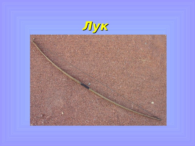 Лук 