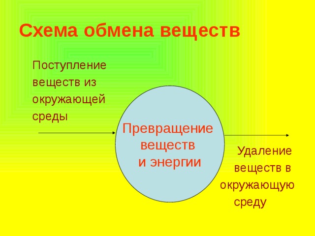 Схема обмена веществ  Поступление  веществ из  окружающей  среды  Удаление  веществ в  окружающую  среду Превращение веществ и энергии 