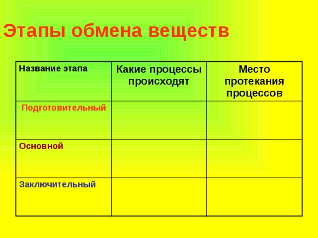 Этапы обмена веществ Название этапа Какие процессы происходят  Подготовительный Место протекания процессов Основной Заключительный 