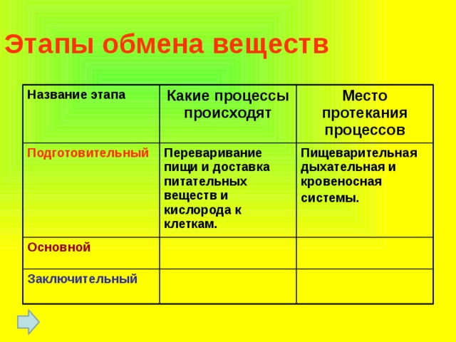 Этапы обмена веществ Название этапа Какие процессы происходят Подготовительный Место протекания процессов Переваривание пищи и доставка питательных веществ и кислорода к клеткам. Основной Пищеварительная дыхательная и кровеносная Заключительный системы. 