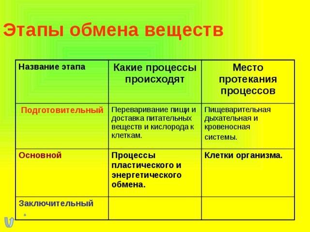 Этапы обмена веществ Название этапа Какие процессы происходят  Подготовительный Место протекания процессов Переваривание пищи и доставка питательных веществ и кислорода к клеткам. Основной Процессы пластического и энергетического обмена. Пищеварительная дыхательная и кровеносная Заключительный системы. Клетки организма. 