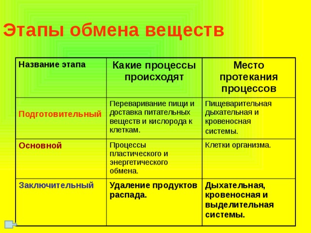 Этапы обмена веществ Название этапа Какие процессы происходят  Подготовительный Место протекания процессов Переваривание пищи и доставка питательных веществ и кислорода к клеткам. Основной Процессы пластического и энергетического обмена. Пищеварительная дыхательная и кровеносная Заключительный системы. Клетки организма. Удаление продуктов распада. Дыхательная, кровеносная и выделительная системы. 