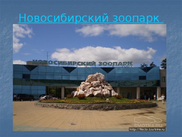 Новосибирский зоопарк  