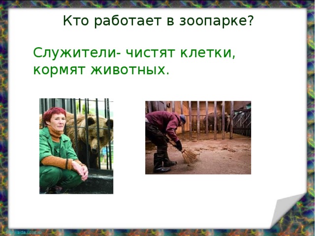 Кто работает в зоопарке? Животные содержатся в вольерах. За ними ухаживают Служители- чистят клетки, кормят животных. Они чистят клетки, приносят воду и корм. животных той пищей, которой они питаются на свободе. 