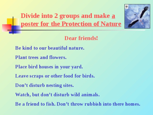 Divide into 2 groups and make a poster for the Protection of Nature Dear friends! Be kind to our beautiful nature. Plant trees and flowers. Place bird houses in your yard. Leave scraps or other food for birds. Don’t disturb nesting sites. Watch, but don’t disturb wild animals. Be a friend to fish. Don’t throw rubbish into there homes. 