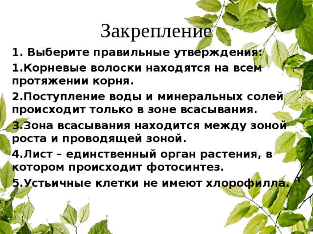 Закрепление 1. Выберите правильные утверждения: 1.Корневые волоски находятся на всем протяжении корня. 2.Поступление воды и минеральных солей происходит только в зоне всасывания. 3.Зона всасывания находится между зоной роста и проводящей зоной. 4.Лист – единственный орган растения, в котором происходит фотосинтез. 5.Устьичные клетки не имеют хлорофилла. . 