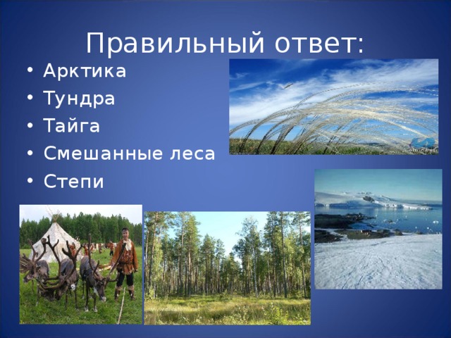 Правильный ответ: Арктика Тундра Тайга Смешанные леса Степи 