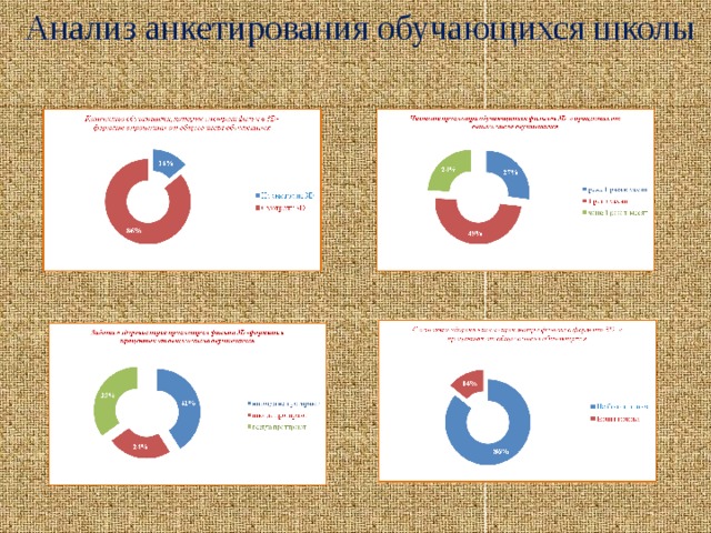 Анализ анкетирования обучающихся школы 