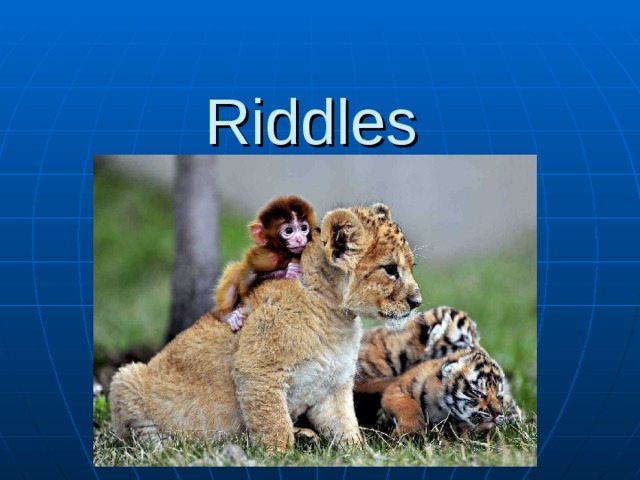 R iddle s  