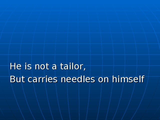 He is not a tailor, But carries needles on himself 