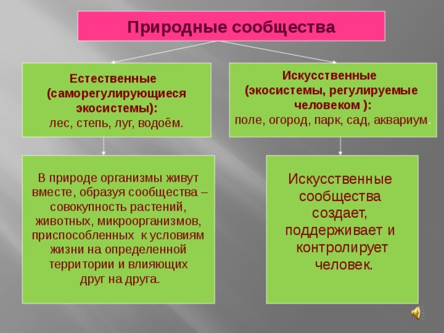 Природные сообщества Естественные  (саморегулирующиеся экосистемы): Искусственные (экосистемы, регулируемые лес, степь, луг, водоём. человеком ): поле, огород, парк, сад, аквариум . Искусственные сообщества создает, В природе организмы живут поддерживает и  вместе, образуя сообщества – совокупность растений, контролирует животных, микроорганизмов,  человек. приспособленных к условиям  жизни на определенной территории и влияющих  друг на друга. 