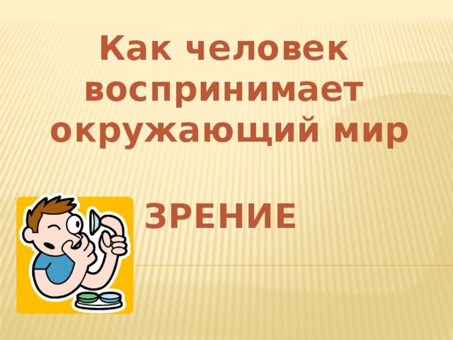 Как человек воспринимает окружающий мир ЗРЕНИЕ 