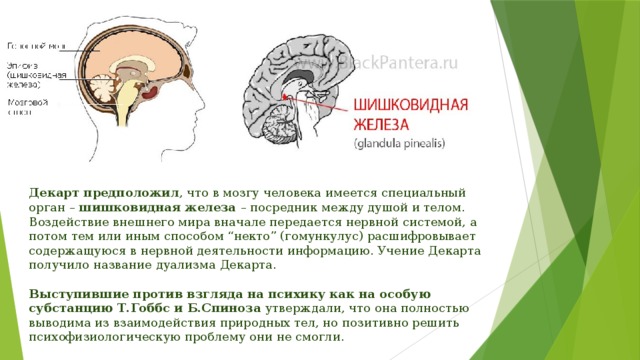 Декарт предположил , что в мозгу человека имеется специальный орган – шишковидная железа – посредник между душой и телом. Воздействие внешнего мира вначале передается нервной системой, а потом тем или иным способом “некто” (гомункулус) расшифровывает содержащуюся в нервной деятельности информацию. Учение Декарта получило название дуализма Декарта.  Выступившие против взгляда на психику как на особую субстанцию Т.Гоббс и Б.Спиноза утверждали, что она полностью выводима из взаимодействия природных тел, но позитивно решить психофизиологическую проблему они не смогли. 
