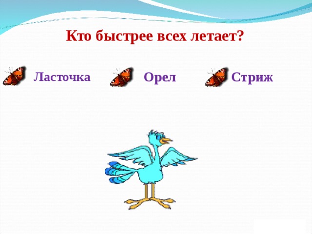 Кто быстрее всех летает? Орел Стриж Ласточка 