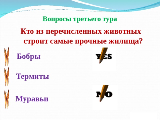 Вопросы третьего тура Кто из перечисленных животных строит самые прочные жилища? Бобры Термиты Муравьи 