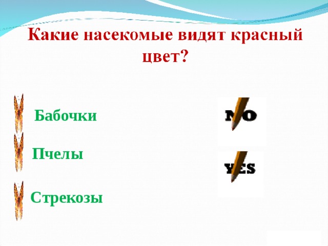 Бабочки Пчелы Стрекозы 